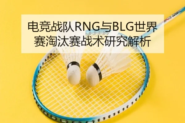 电竞战队RNG与BLG世界赛淘汰赛战术研究解析 - leisu